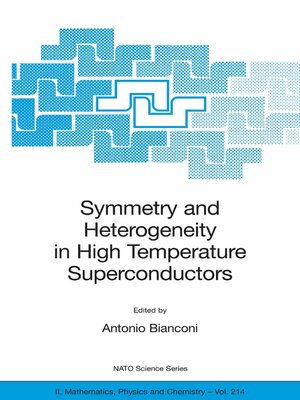 cover image of Symmetry and Heterogeneity in High Temperature Superconductors